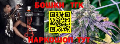 гидропоника Пугачёв