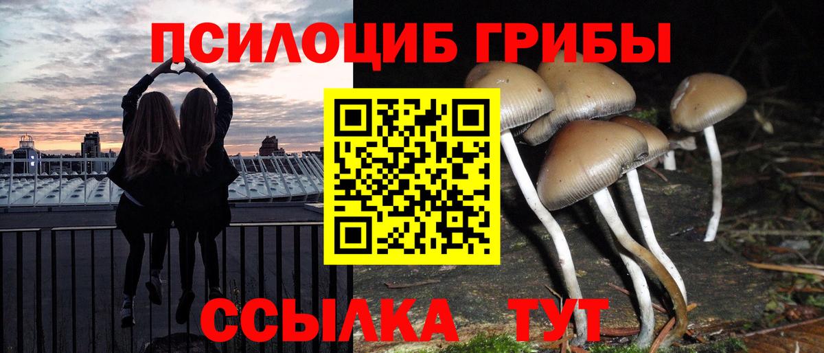 дарнет шоп  Вход с VPN  Ростов Великий  Псилоцибиновые грибы GOLDEN TEACHER 